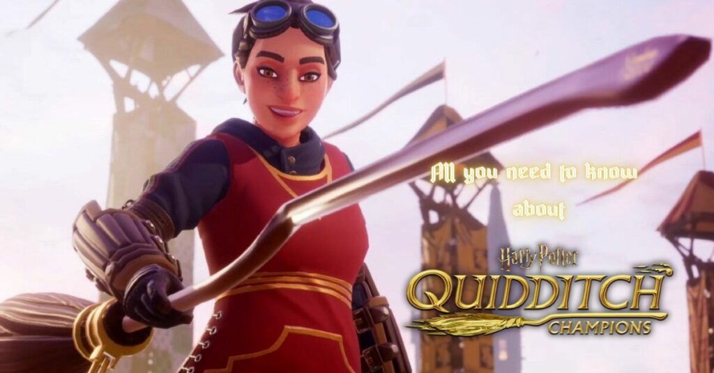 all you need to know about harry potter: quidditch champions