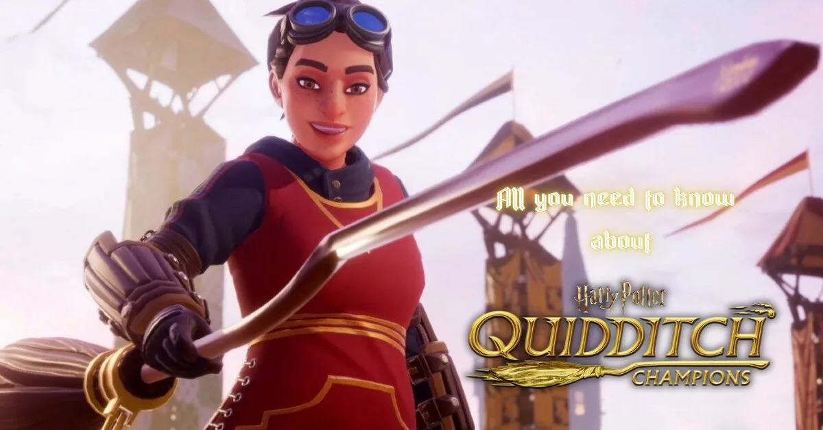 all you need to know about harry potter: quidditch champions
