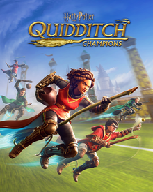 All You Need to Know About Harry Potter: Quidditch Champions