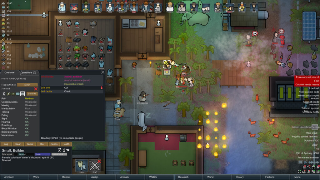 a screenshot of rimworld gameplay for an example of games like sims
