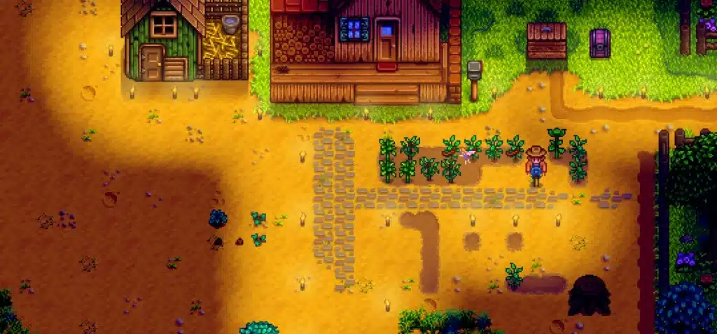 a screenshot of stardew valley gameplay showing the farm and plants growing, with a scarecrow, a house, a chicken coop and other elements of the game